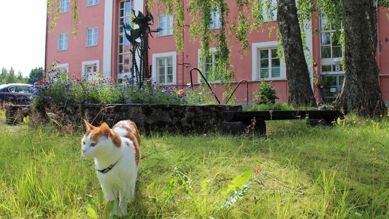 Vanha Koulu Suolahti Exterior photo